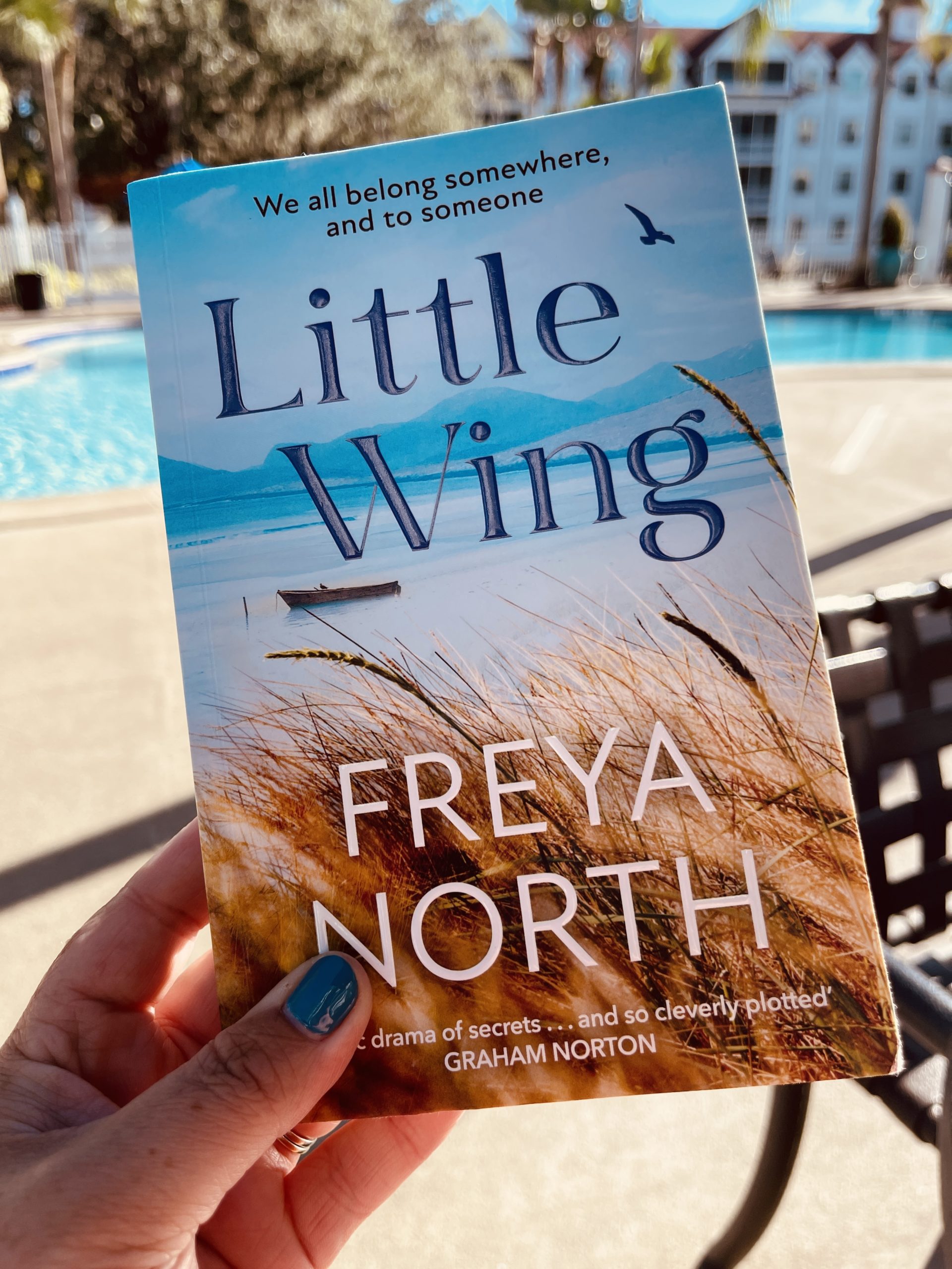 Little Wing By Freya North Tea Leaves Reads