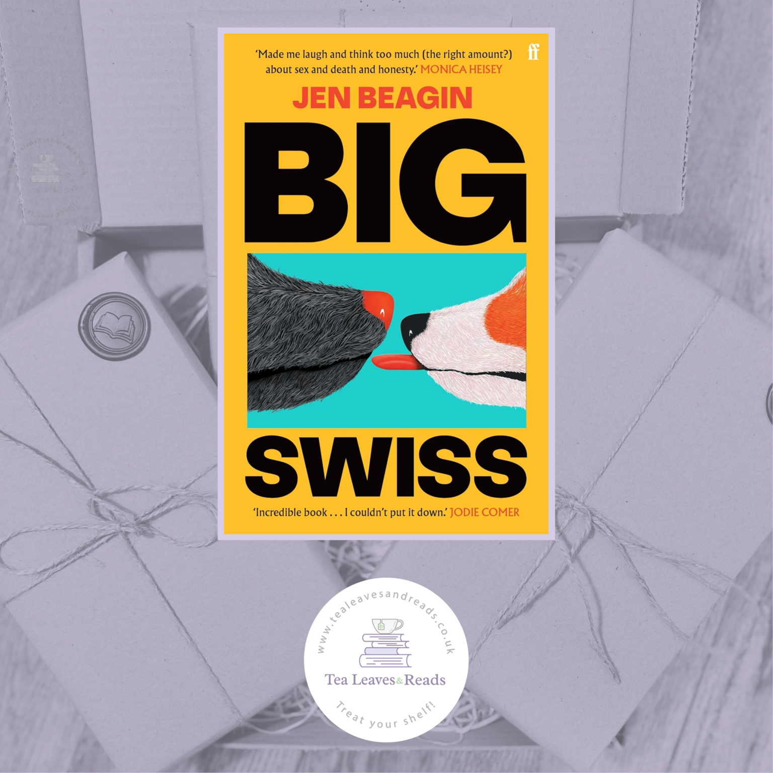 Big Swiss By Jen Beagin - Tea Leaves & Reads