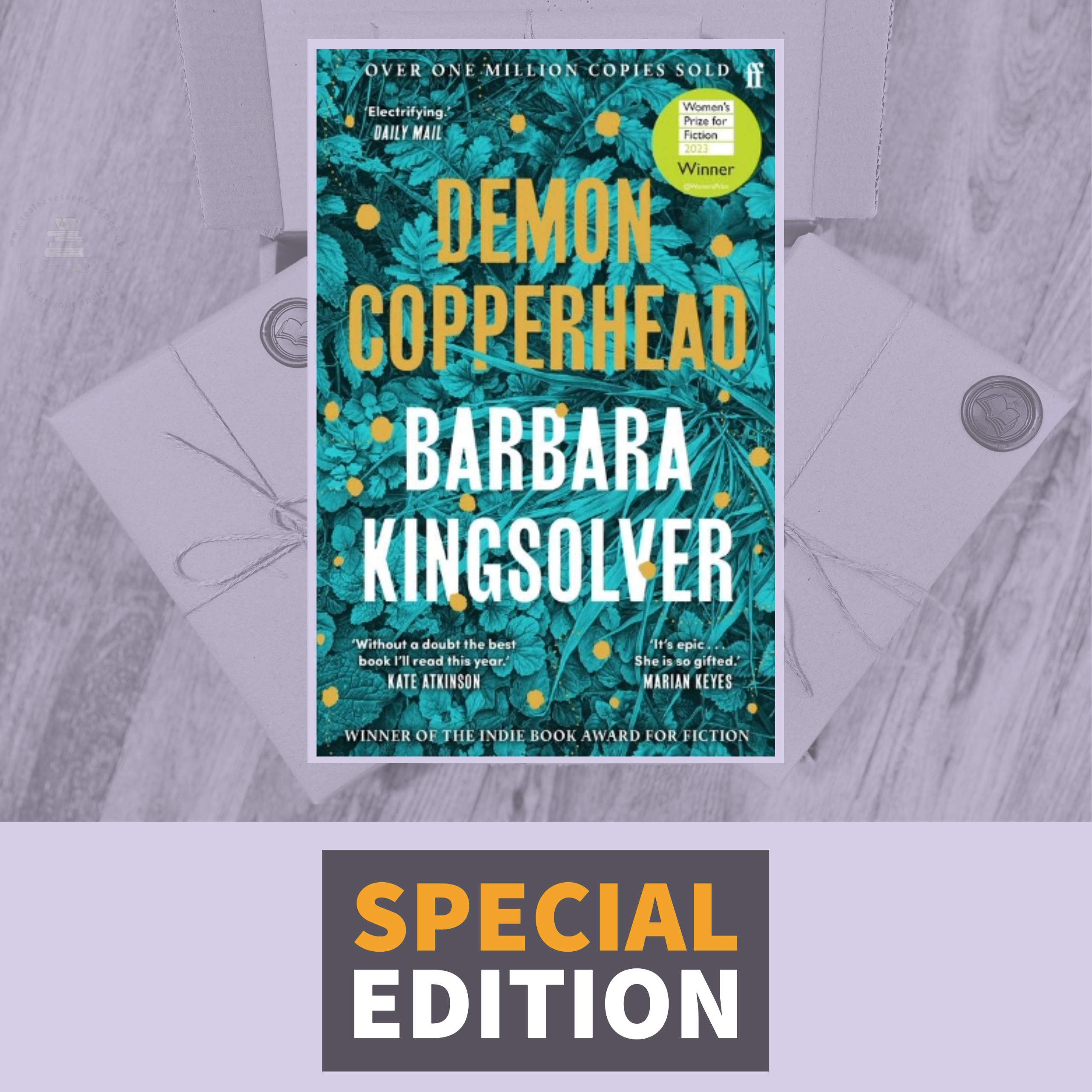 Demon Copperhead by Barbara Kingsolver - Tea Leaves & Reads