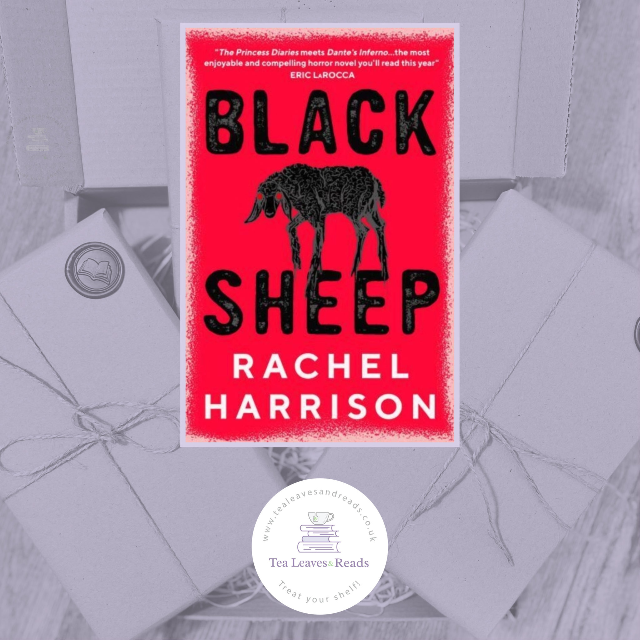 Black Sheep by Rachel Harrison - Tea Leaves & Reads