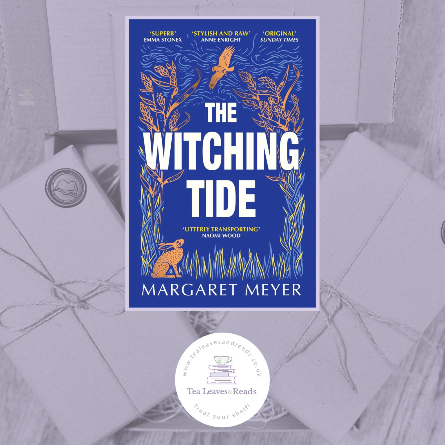 The Witching Tide by Margaret Meyer - Tea Leaves & Reads