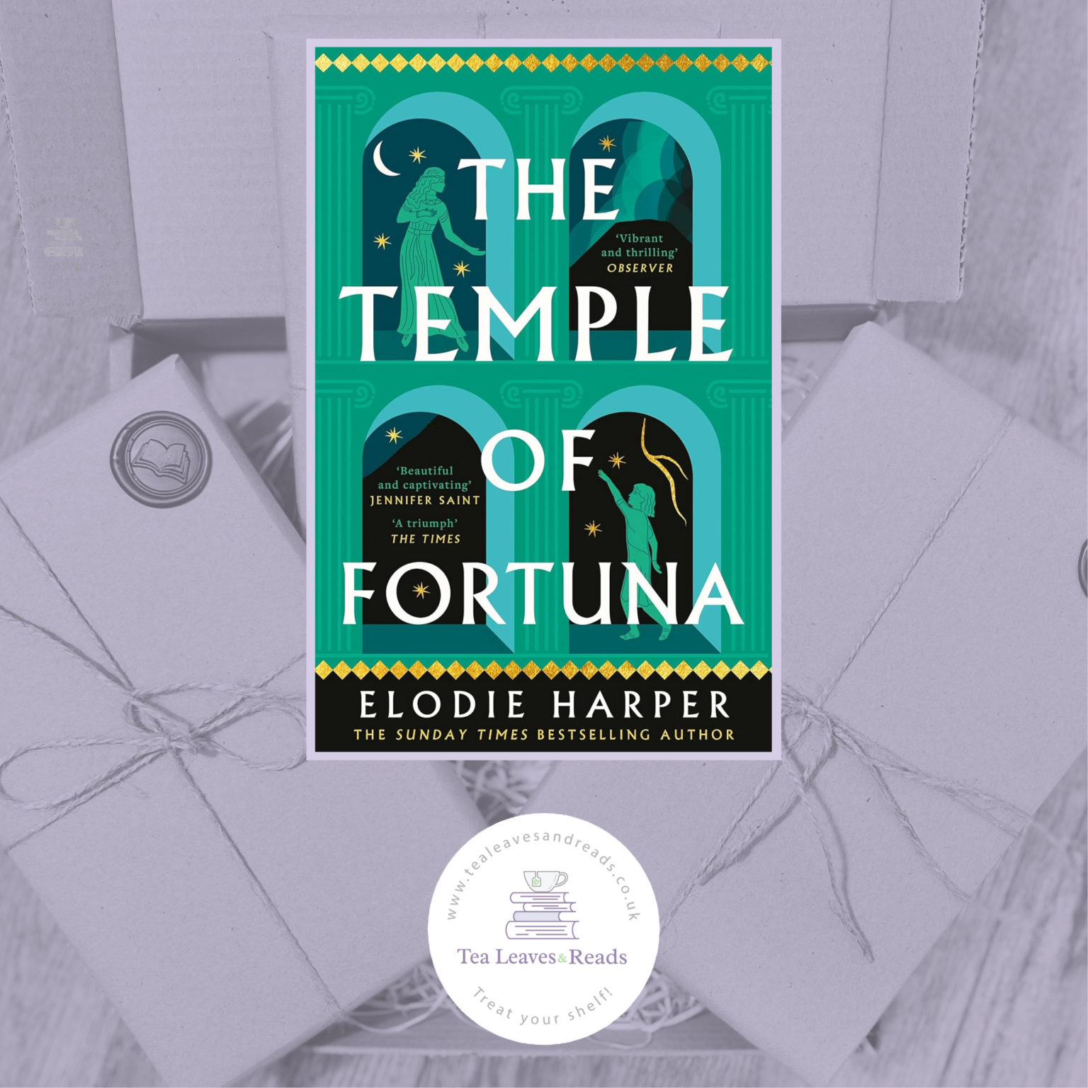 The Temple of Fortuna by Elodie Harper - Tea Leaves & Reads