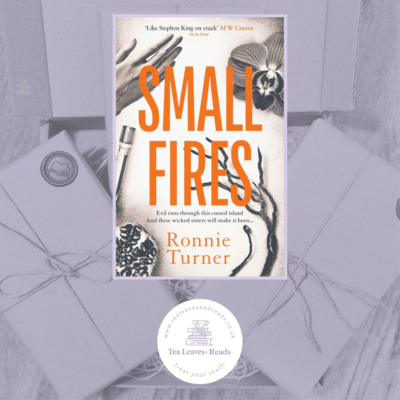 Small Fires by Ronnie Turner - Tea Leaves & Reads