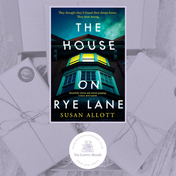 The House on Rye Lane by Susan Allott